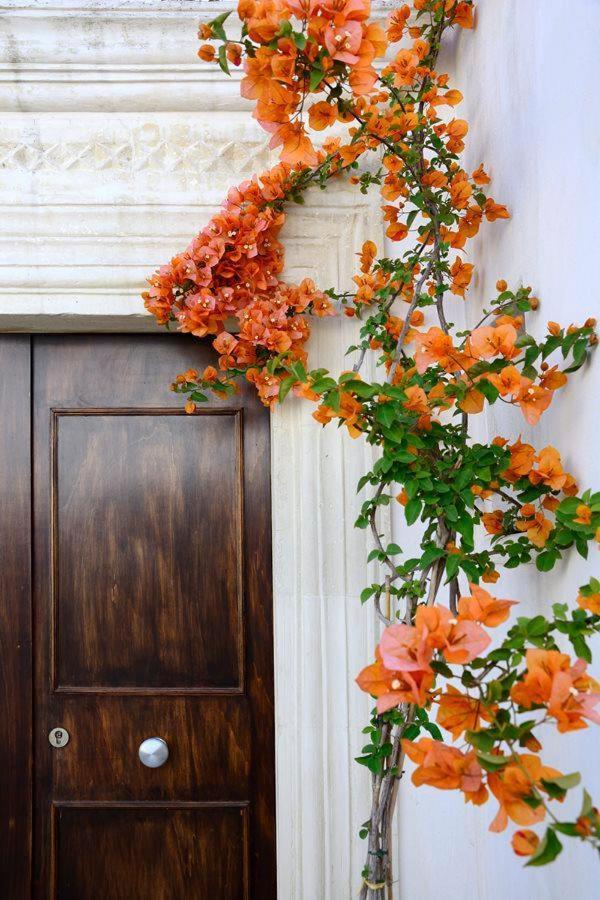 Bed and Breakfast Il Giardino Grottaglie Exterior foto