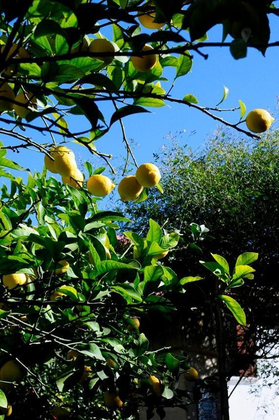 Bed and Breakfast Il Giardino Grottaglie Exterior foto